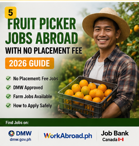 Fruit Picker Jobs Abroad With No Placement Fee